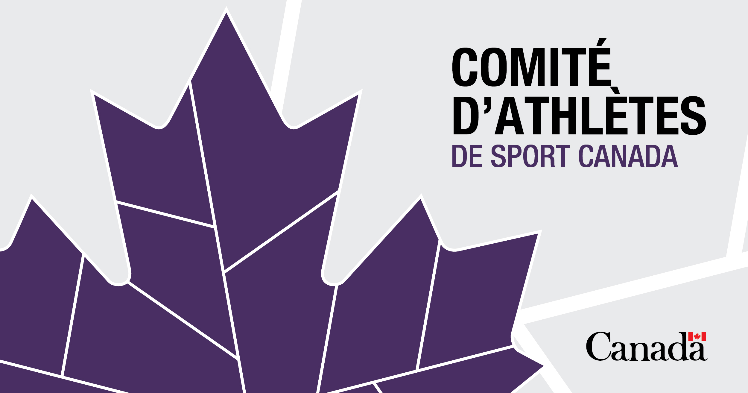 Comité aviseur composé d’athlètes à Sport Canada