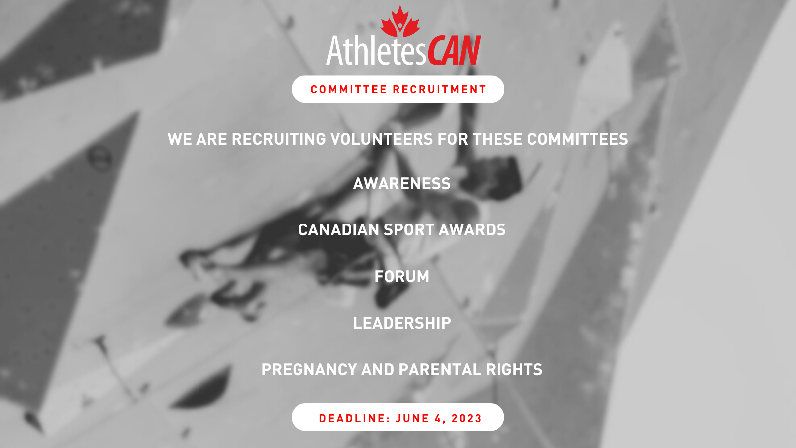 We are recruiting for these committees: AthletesCAN Forum, Awareness, Canadian Sport Awards, Leadership, Pregnancy and Parental Rights Deadline: June 4, 2023