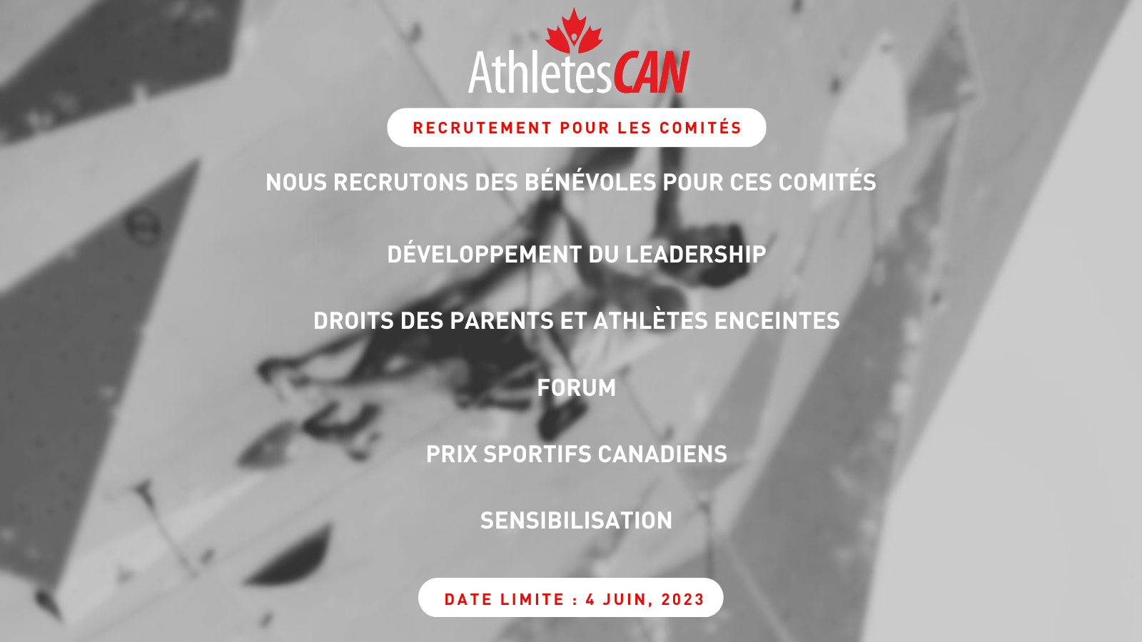 Nous recrutons des bénévoles pour ces comités : Forum, Développement du leadership, Droits des parents et athlètes enceintes, Prix sportifs canadiens, Sensibilization