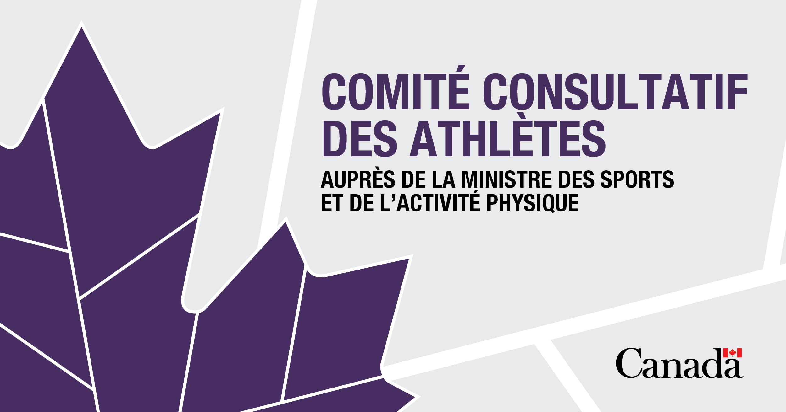 Appel de candidatures : Comité consultatif des athlètes auprès de la ministre des sports et de l’activité physique